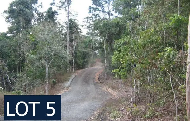Second view of Homely land listing, LOT 105 Moody Road, Strathdickie QLD 4800