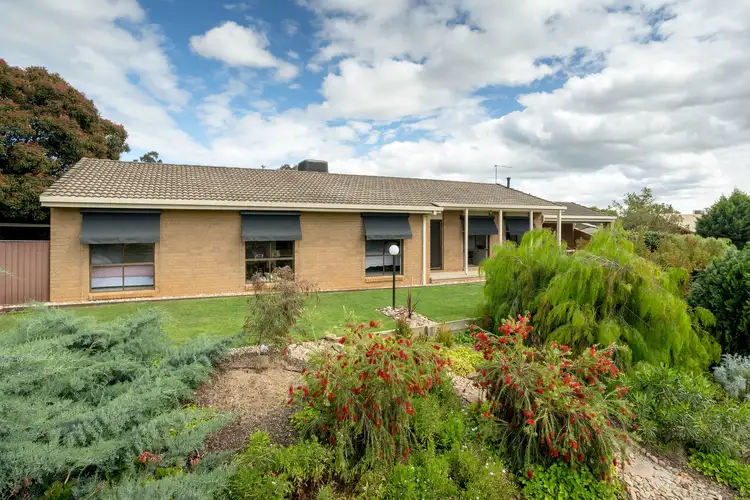 Main view of Homely house listing, 13 Barton Street, Wodonga VIC 3690