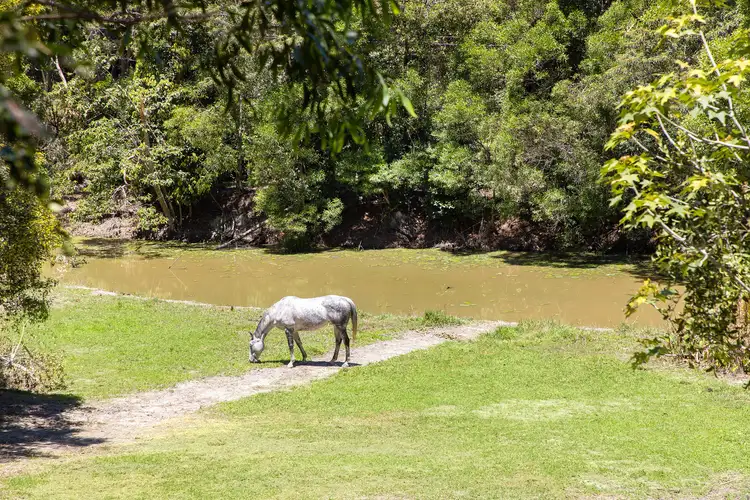 Third view of Homely rural property listing, 315-321 Pryor Road, Verrierdale QLD 4562