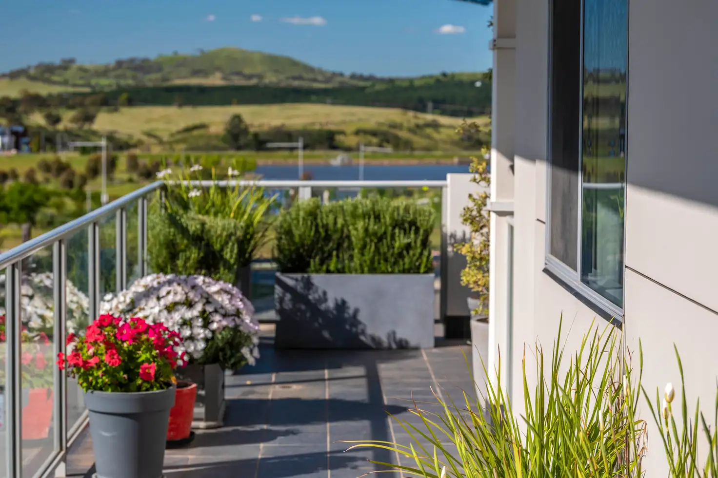 Main view of Homely apartment listing, 244/36 Philip Hodgins Street, Wright ACT 2611