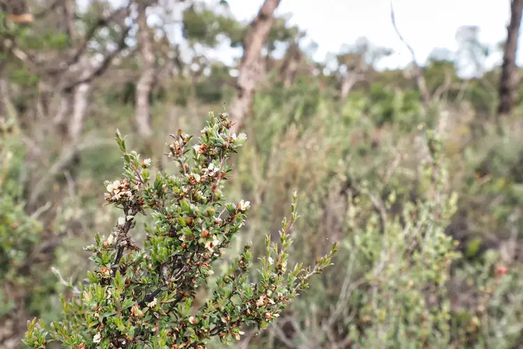 Seventh view of Homely land listing, LOT 4 Donald-Stawell Road, Stawell VIC 3380