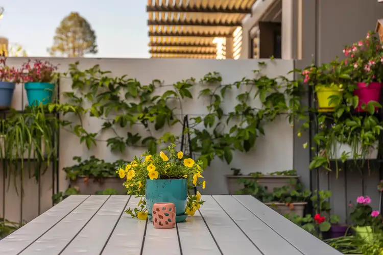 Second view of Homely apartment listing, 5/30 Blackall Street, Barton ACT 2600