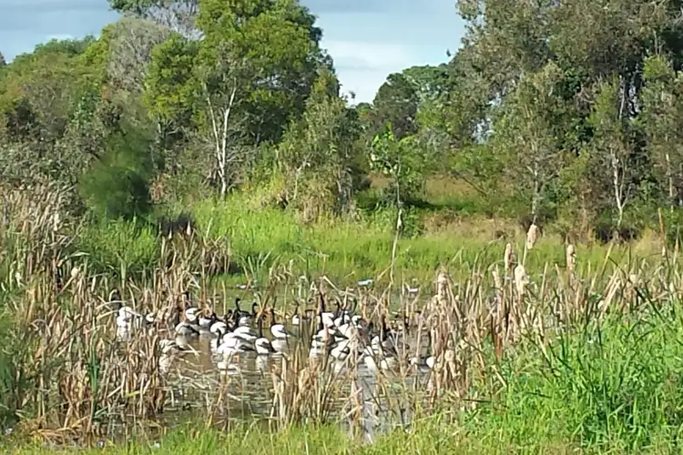 Fourth view of Homely land listing, Lot 12 Hodges Road, Cordalba QLD 4660