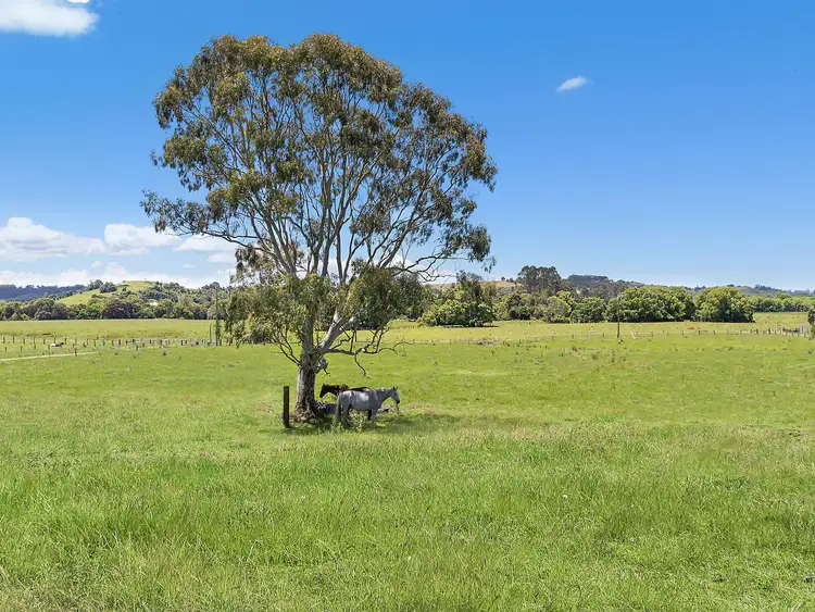 Second view of Homely rural property listing, 607 Boatharbour Road, Eltham NSW 2480