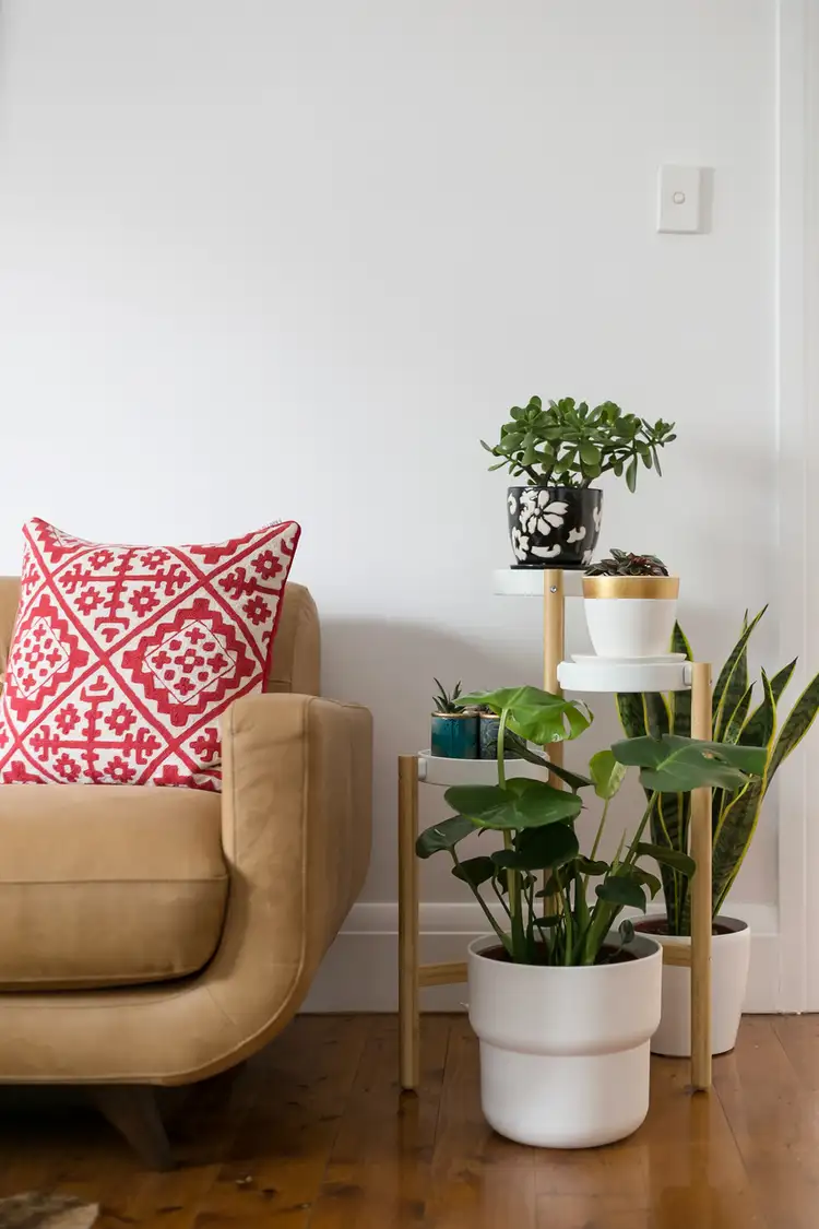 Fifth view of Homely house listing, 12 Lords Road, Leichhardt NSW 2040