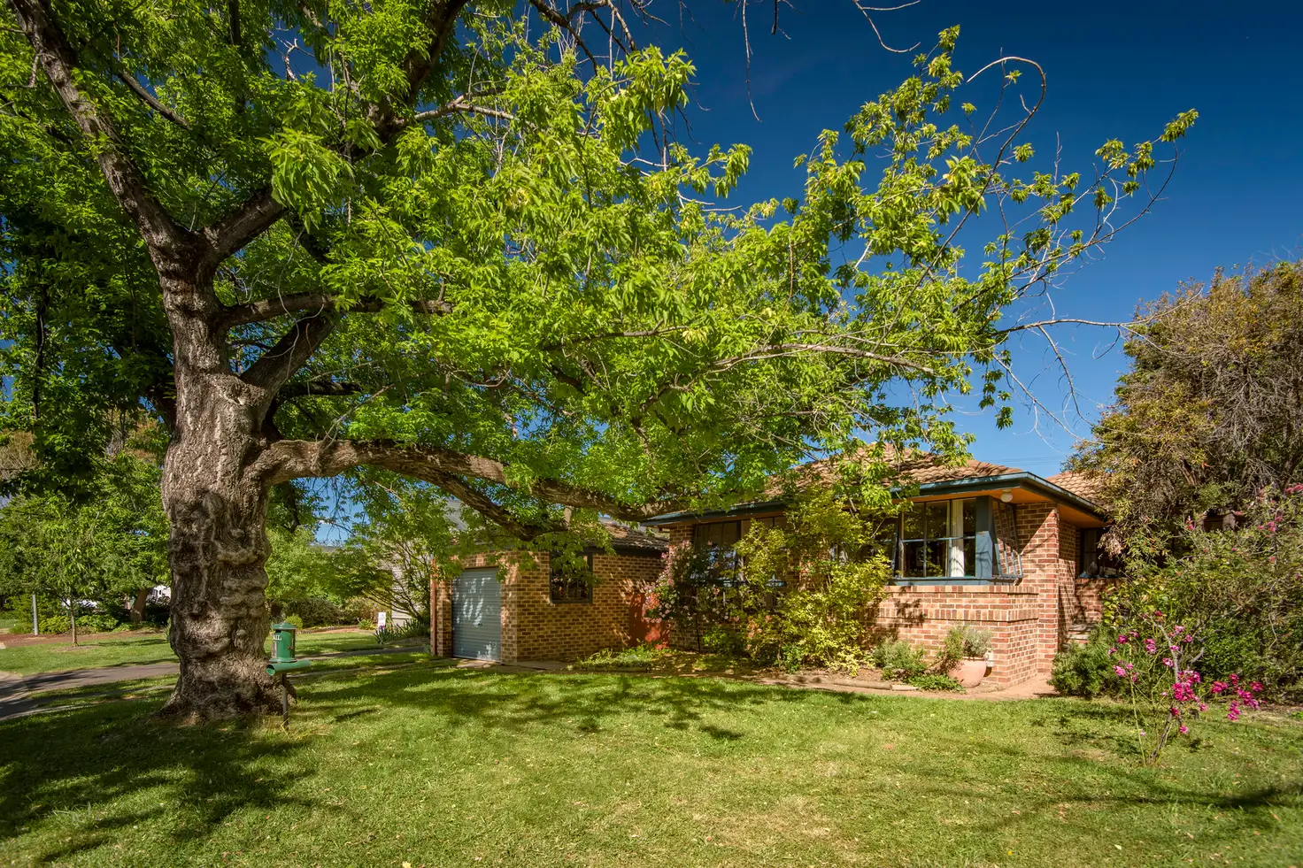 Main view of Homely house listing, 4 Nimbin Street, Narrabundah ACT 2604