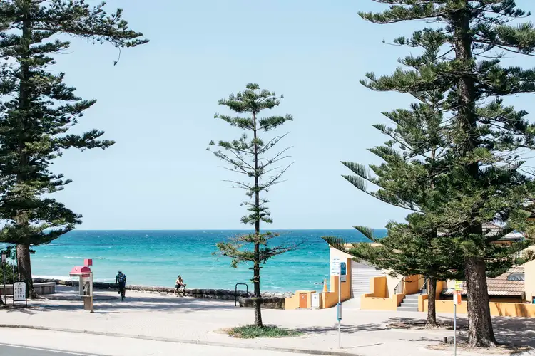 Main view of Homely apartment listing, 1/93-95 North Steyne, Manly NSW 2095