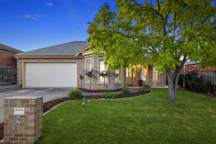 Main view of Homely house listing, 16 Loris Close, Grovedale VIC 3216