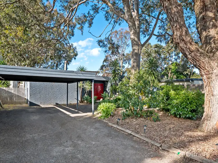Main view of Homely house listing, 161 North Road, Langwarrin VIC 3910