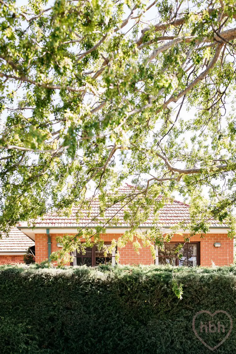 Third view of Homely house listing, 36 Cox Street, Ainslie ACT 2602