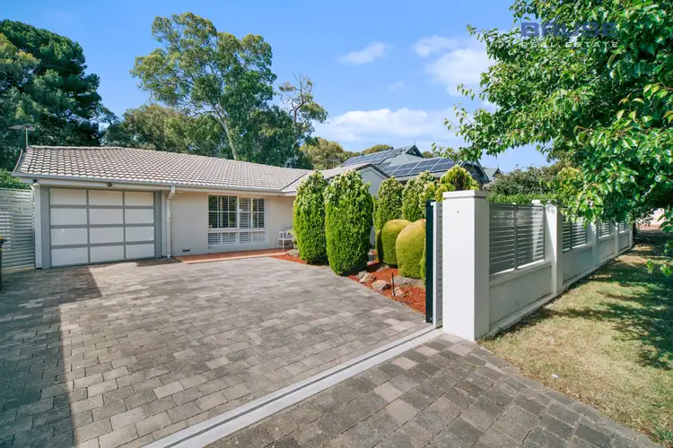 41 Watson Street, Hectorville SA 5073
