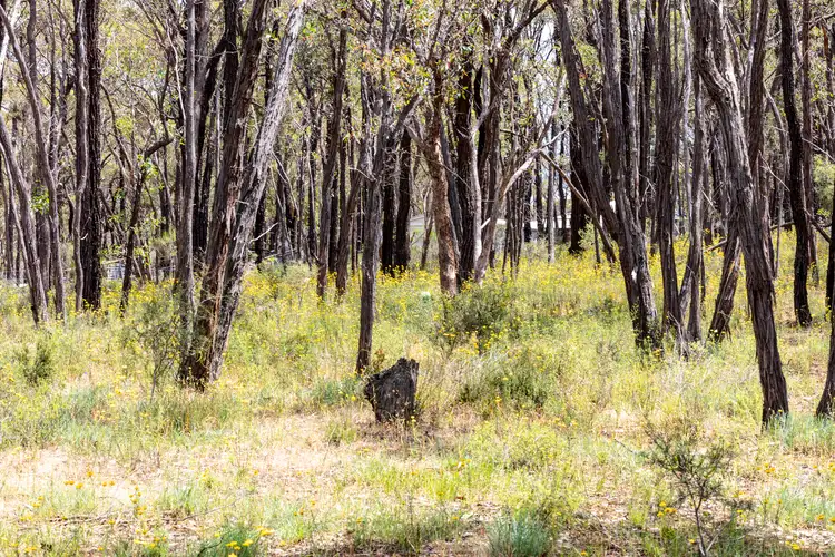 Fourth view of Homely rural property listing, Lot 7 Wellsford Road, Junortoun VIC 3551