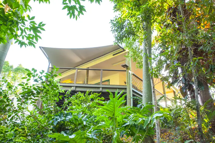 17 Mango Vale Court, Diddillibah QLD 4559