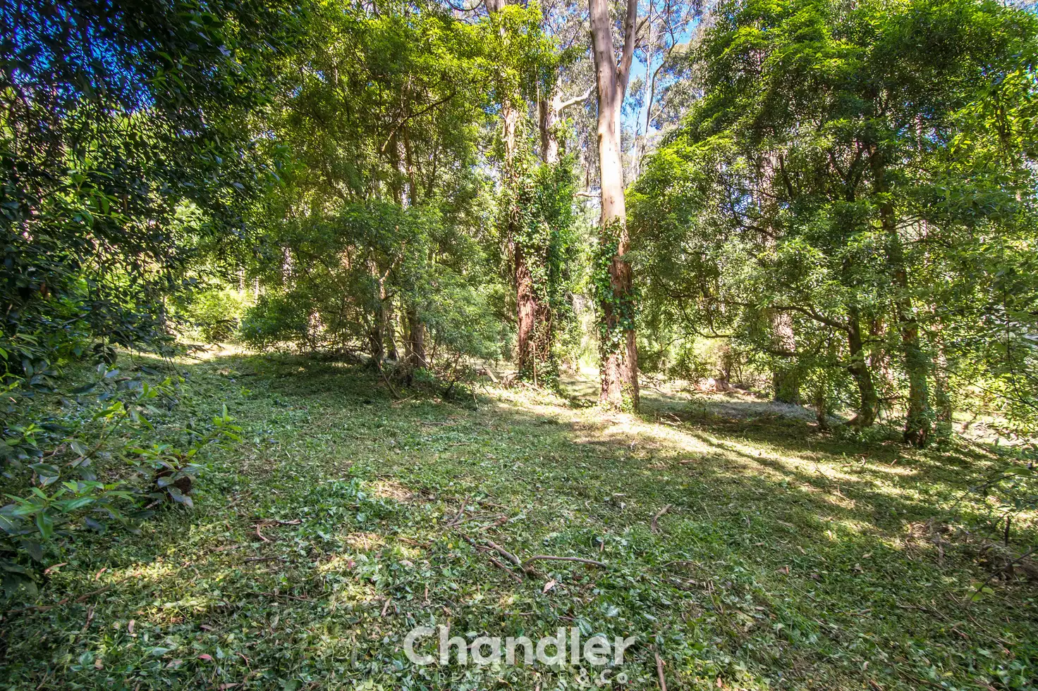 Main view of Homely land listing, 171 Belgrave-Gembrook Road, Selby VIC 3159
