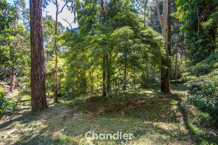 Second view of Homely land listing, 171 Belgrave-Gembrook Road, Selby VIC 3159