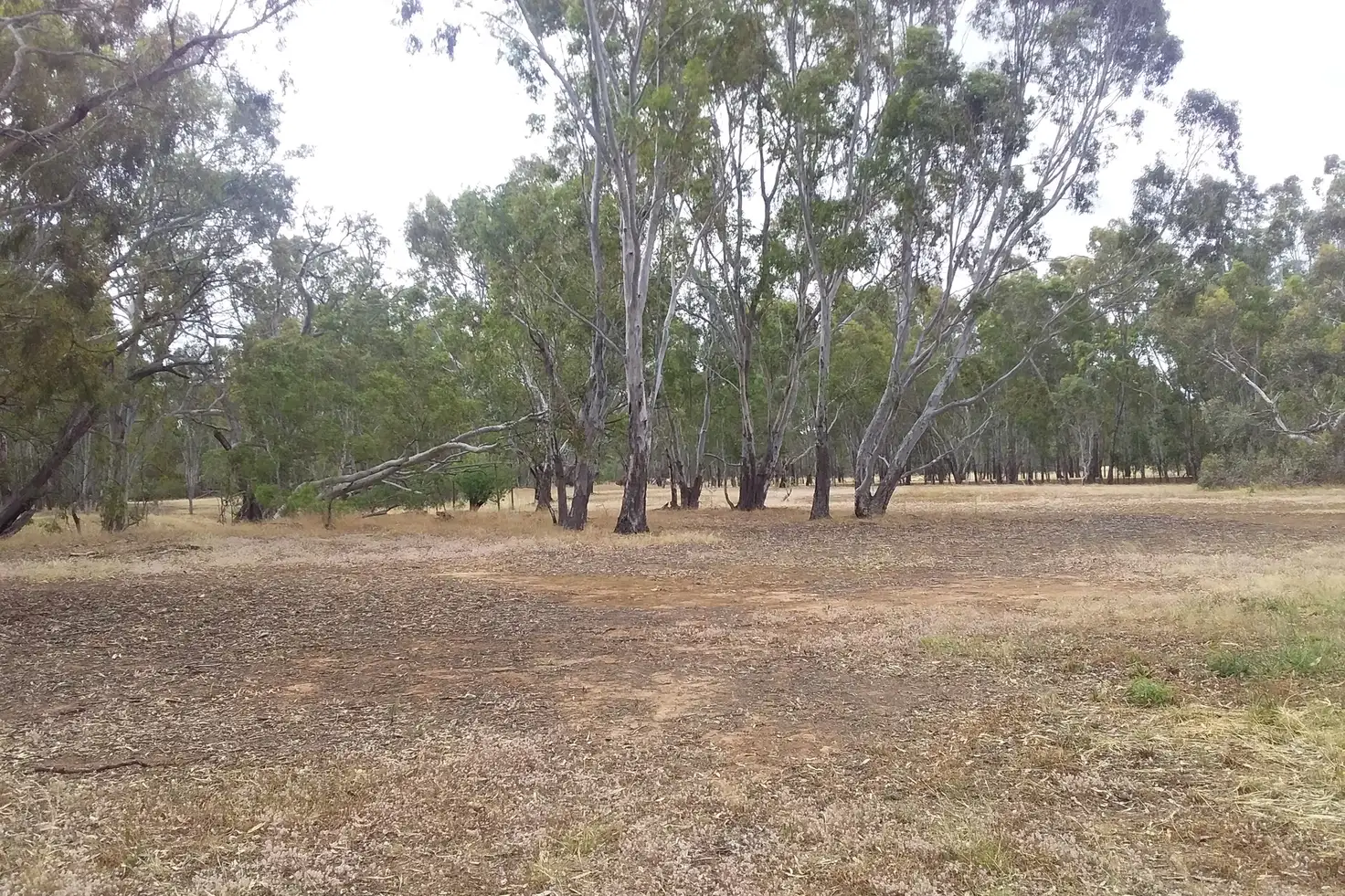 Main view of Homely rural property listing, 29 Burnt Creek Lane, Dunolly VIC 3472