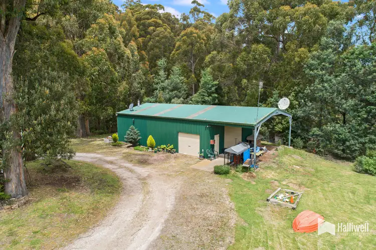 Fourth view of Homely rural property listing, 117 Marshall Road, Nook TAS 7306