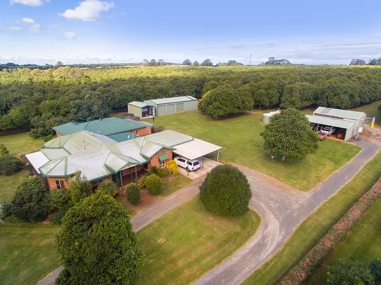 Main view of Homely rural property listing, 315 Rous Road, Rous NSW 2477