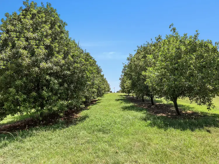 Second view of Homely rural property listing, 315 Rous Road, Rous NSW 2477