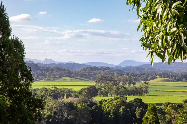 9 Hazelwood Drive, Pottsville NSW 2489
