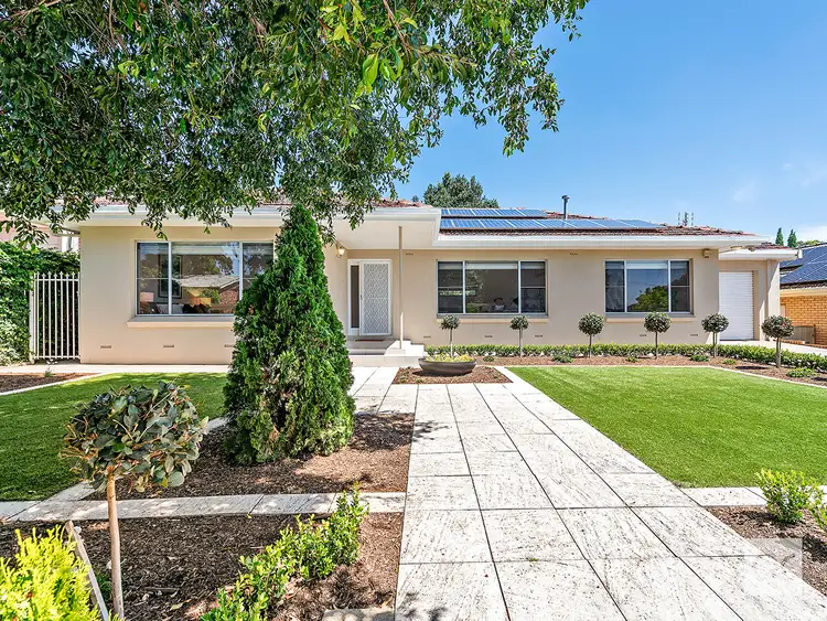 16 Panorama Drive, Panorama SA 5041