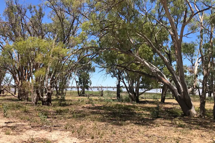 Third view of Homely rural property listing, 142 Dry Lake Road, Euston NSW 2737