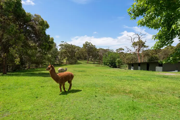 99 Violet Town Road, Floraville NSW 2280