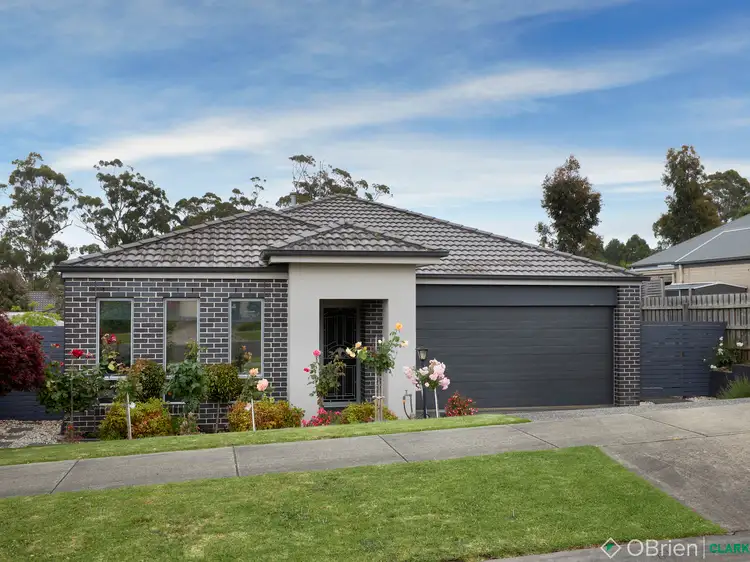 Main view of Homely house listing, 19 Richie Court, Drouin VIC 3818