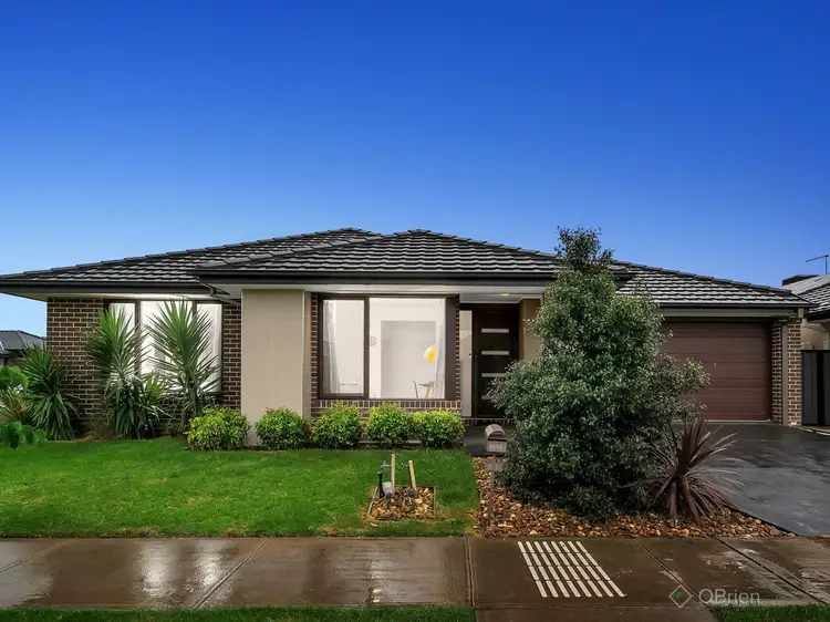 Main view of Homely house listing, 41 Glenrose Boulevard, Clyde North VIC 3978