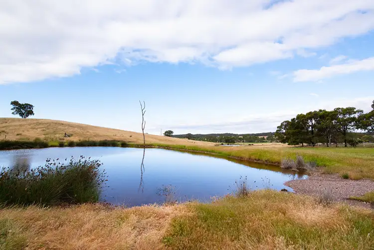 Fifth view of Homely house listing, 1028 Sedgwick Road, Sedgwick VIC 3551