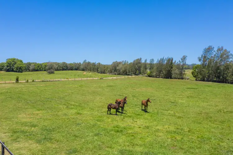 Sixth view of Homely rural property listing, 34 Little Port Lane, Wauchope NSW 2446