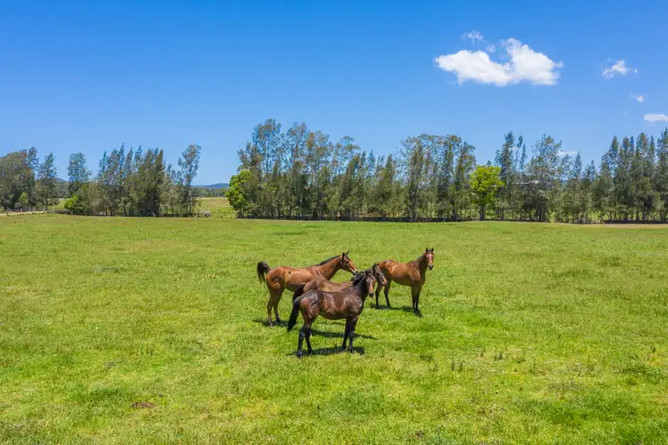 Seventh view of Homely rural property listing, 34 Little Port Lane, Wauchope NSW 2446