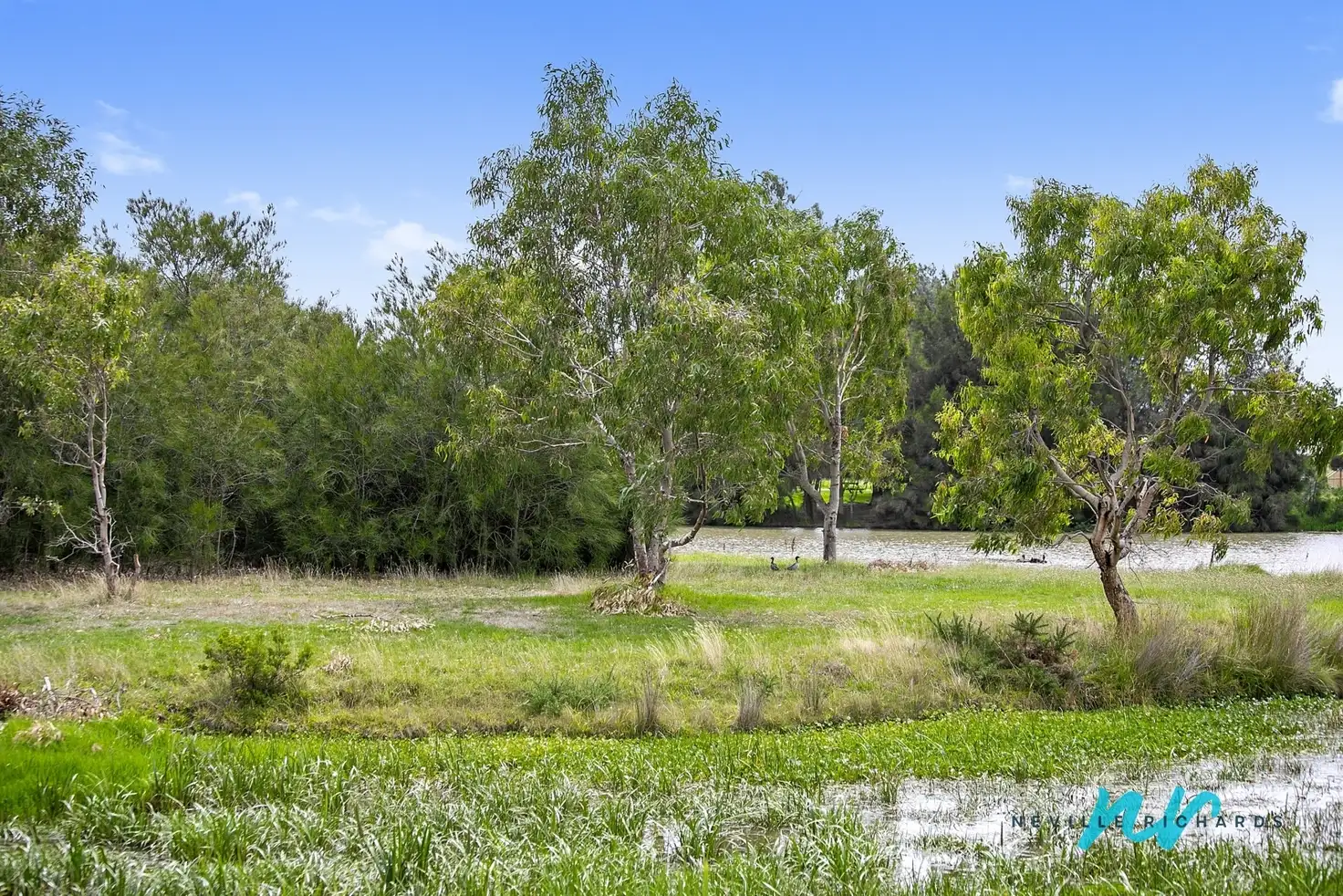 Main view of Homely unit listing, 5/51 Ward Street, St Leonards VIC 3223