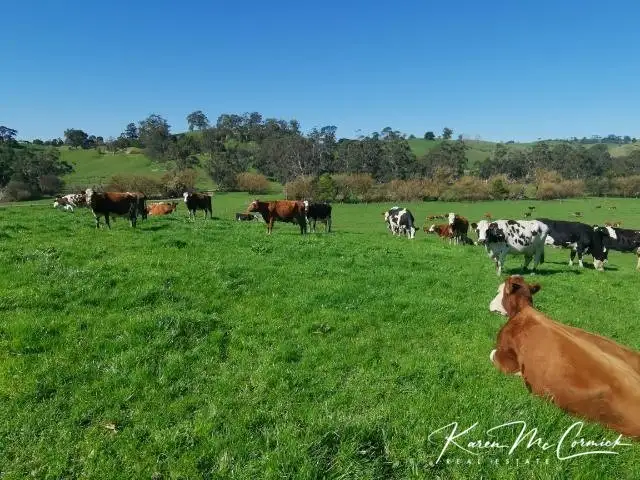 Fifth view of Homely rural property listing, 80 Olsens Road, Poowong VIC 3988