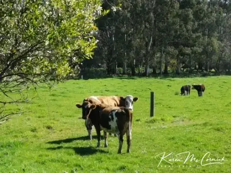 Seventh view of Homely rural property listing, 80 Olsens Road, Poowong VIC 3988