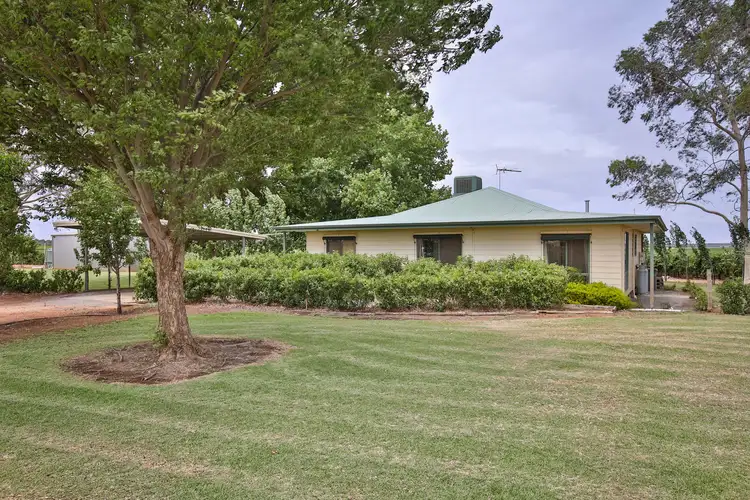 410 Gunya Road, Coomealla NSW 2717
