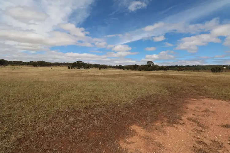 Sixth view of Homely rural property listing, 39D Scotts Lane, Wedderburn VIC 3518