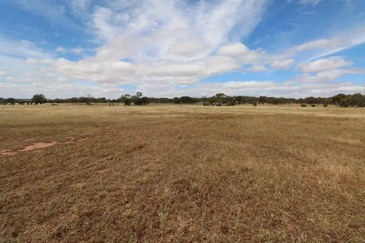 Seventh view of Homely rural property listing, 39D Scotts Lane, Wedderburn VIC 3518