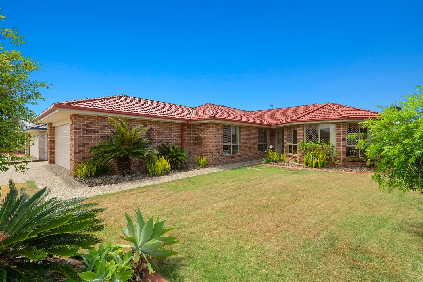 Main view of Homely house listing, 5 Magnolia Crescent, Banora Point NSW 2486