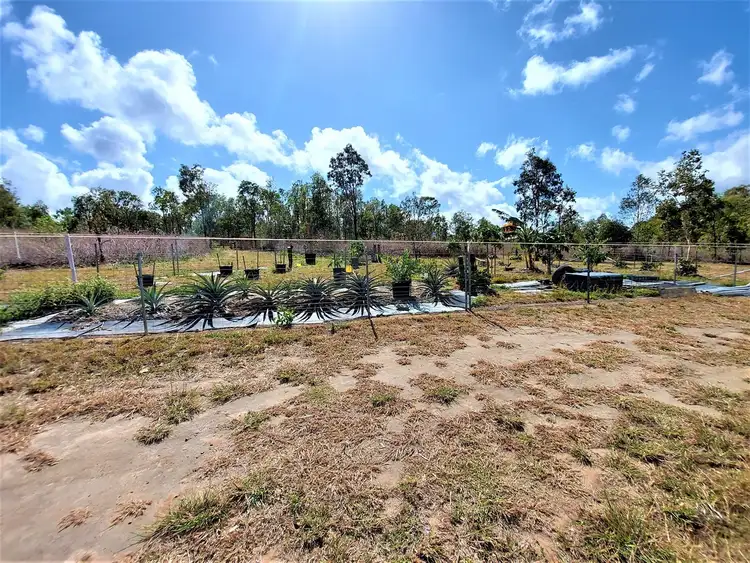 Fifth view of Homely rural property listing, Lot 7 Mount Amos Road, Cooktown QLD 4895