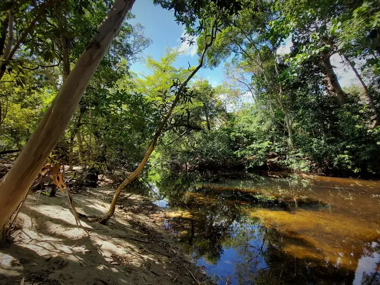 Seventh view of Homely rural property listing, Lot 7 Mount Amos Road, Cooktown QLD 4895