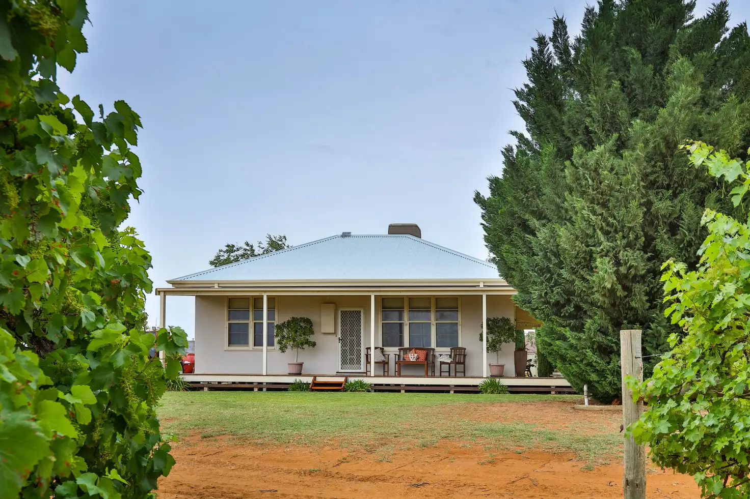 Main view of Homely rural property listing, 99 Westcliffs Avenue, Red Cliffs VIC 3496