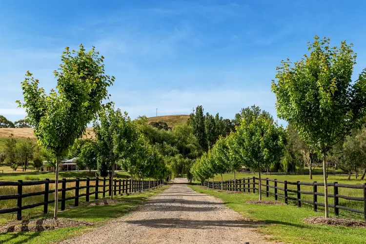 Sixth view of Homely rural property listing, 2485 Greenhill Road, Balhannah SA 5242