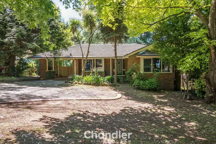 Main view of Homely house listing, 20 O'Connors Road, The Patch VIC 3792