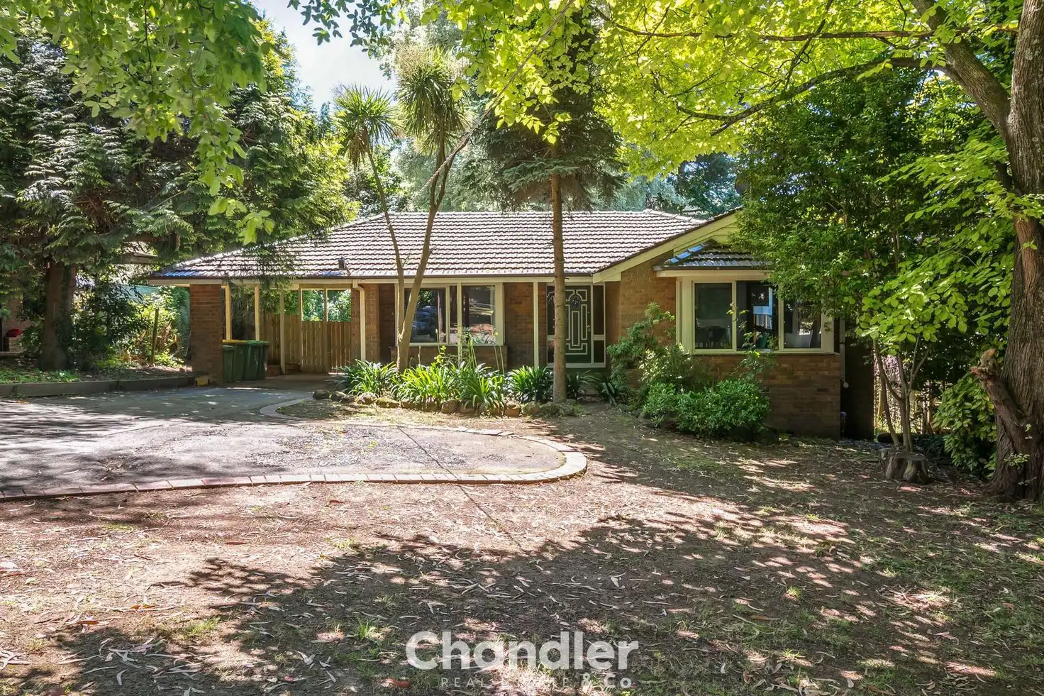 Main view of Homely house listing, 20 O'Connors Road, The Patch VIC 3792