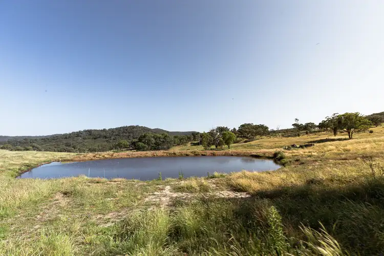 Fifth view of Homely rural property listing, 1885 Triamble Road, Mudgee NSW 2850