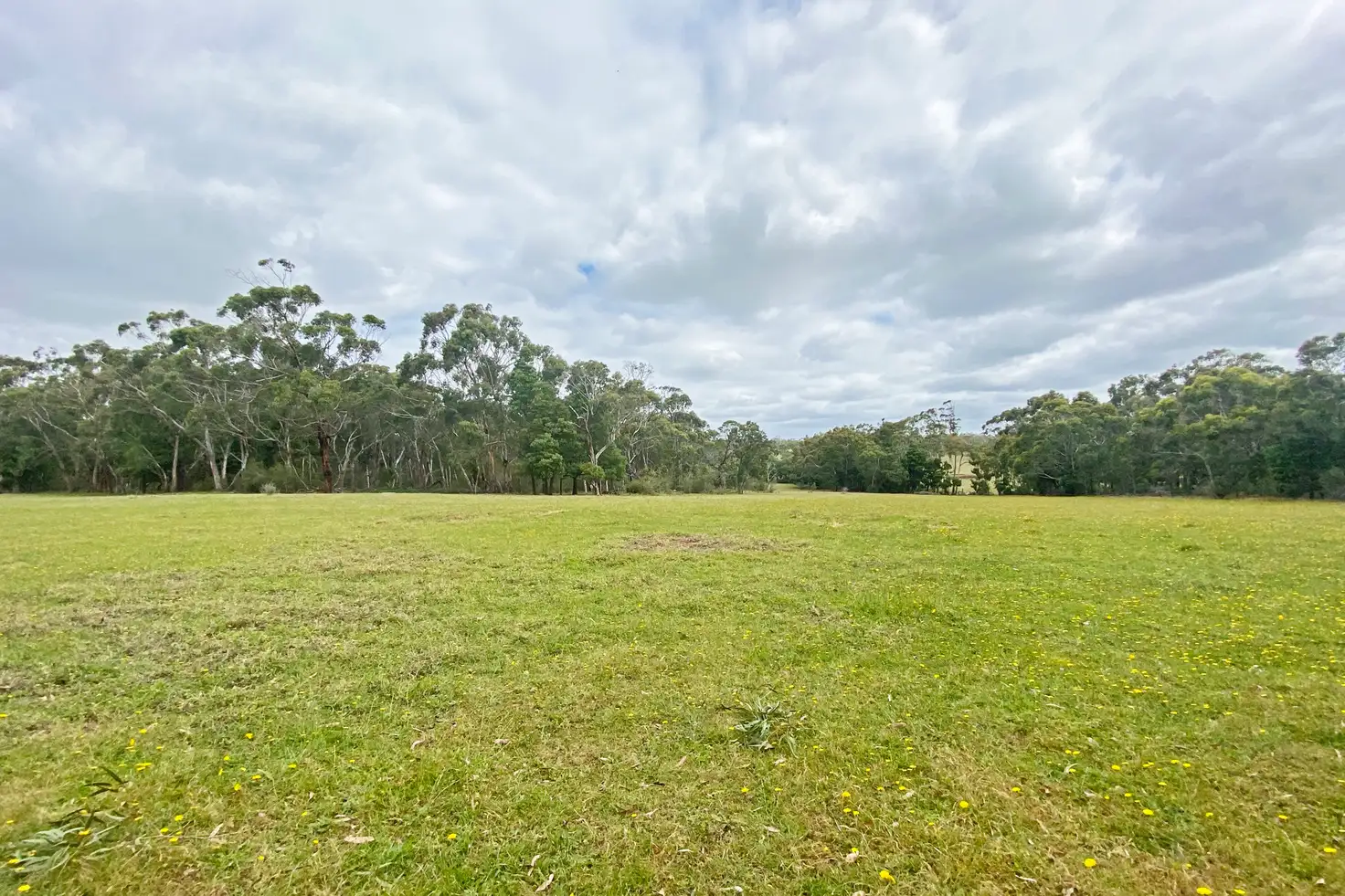Main view of Homely rural property listing, LOT 1 Sunday Creek Road, Drumborg VIC 3304