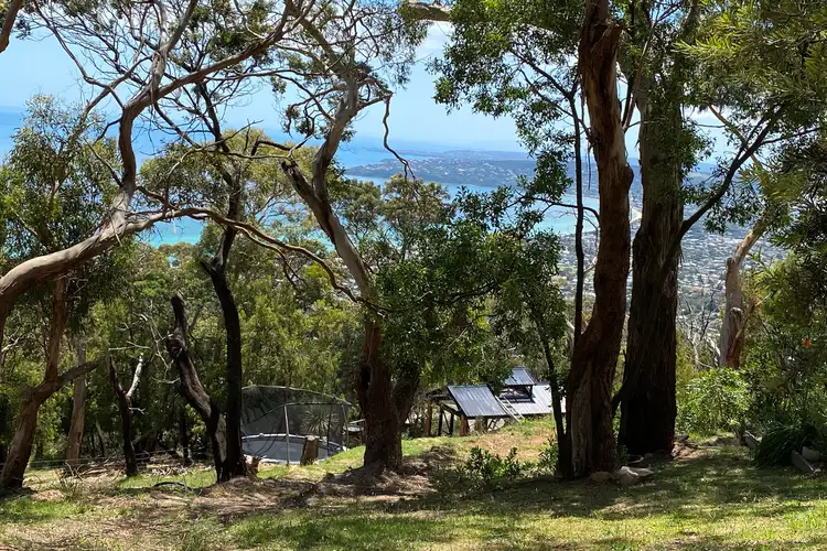 26 Nestle Court, Arthurs Seat VIC 3936