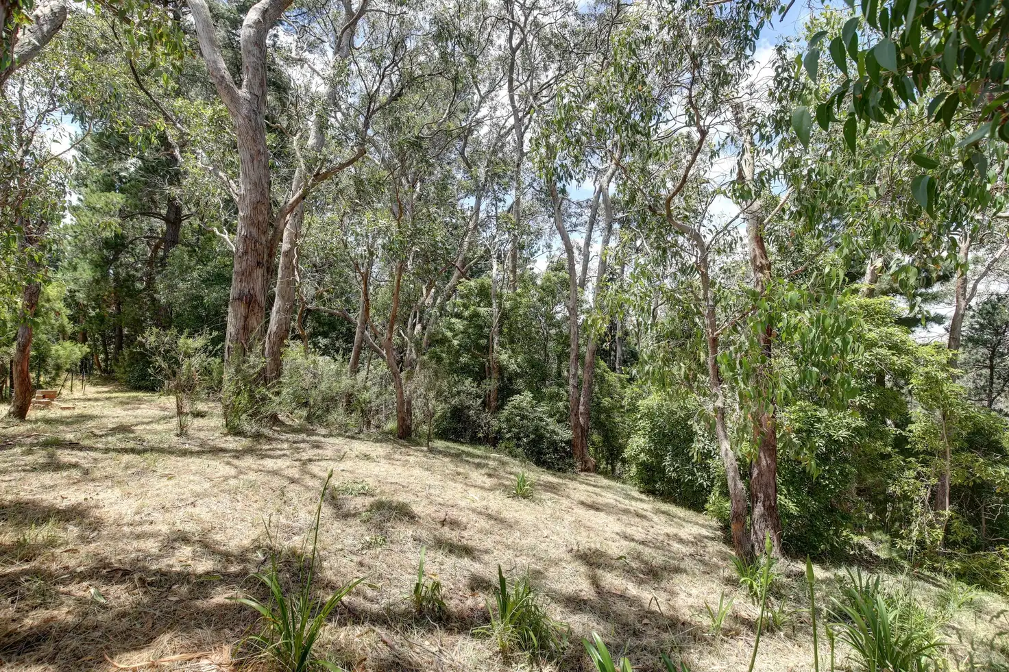 Main view of Homely land listing, 47 Upper Sturt Road, Upper Sturt SA 5156