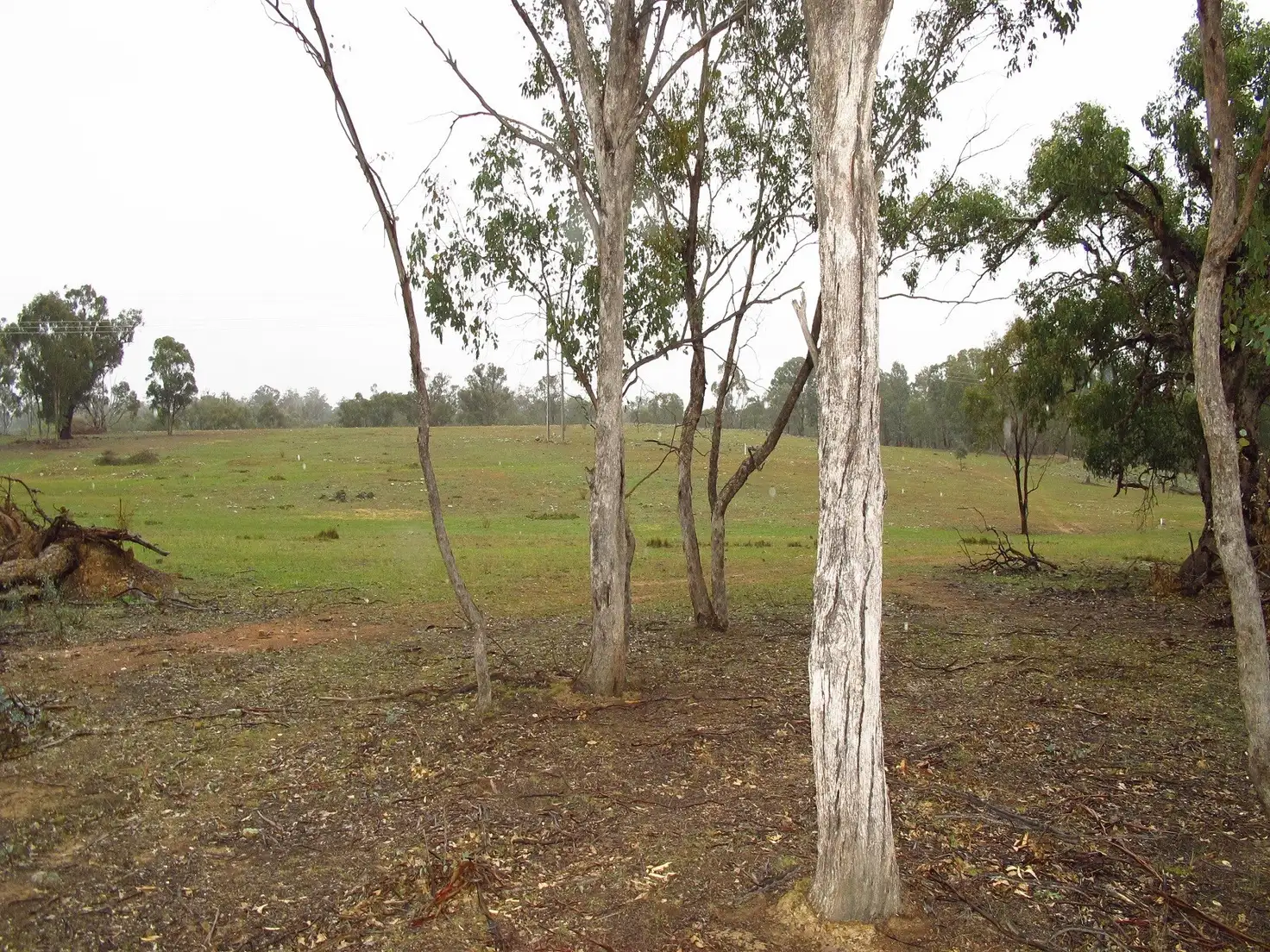 Main view of Homely rural property listing, LOT 25 Quirks Loop, Stuart Town NSW 2820